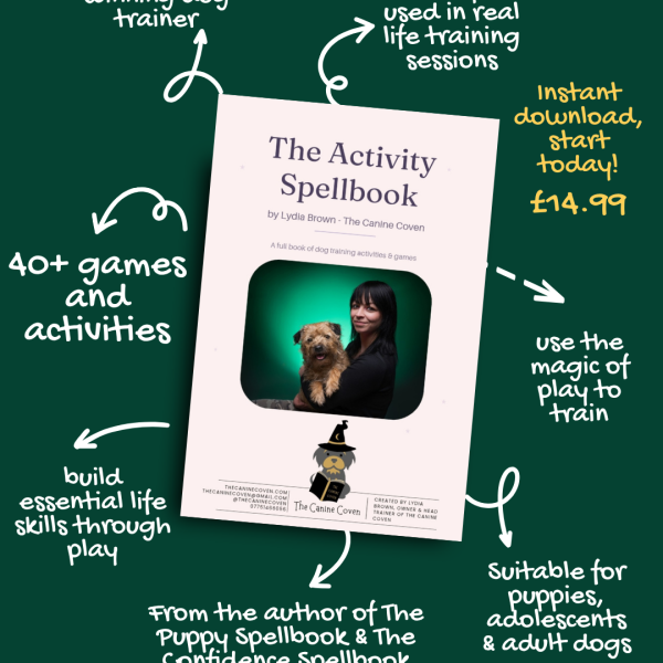 activityspellbook1