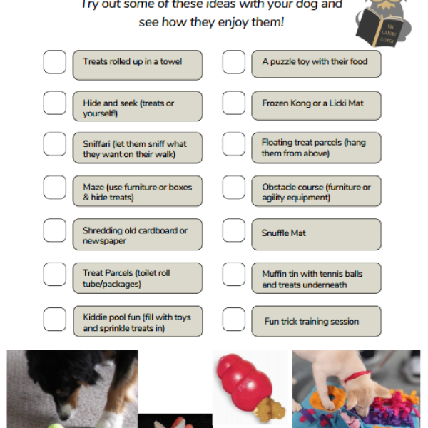enrichment ideas free image