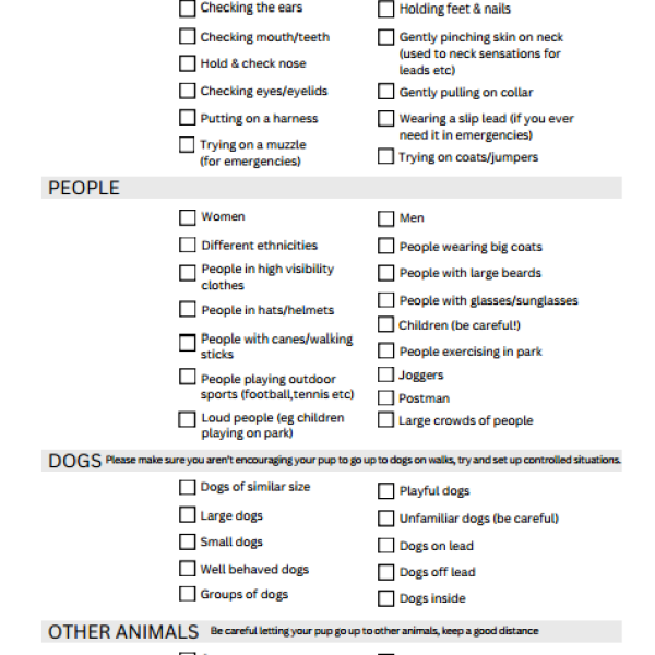 socialisation checklist free image