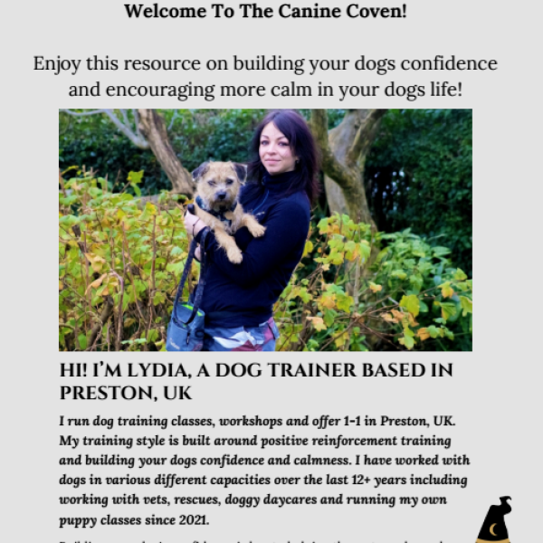 the confidence spellbook front page image